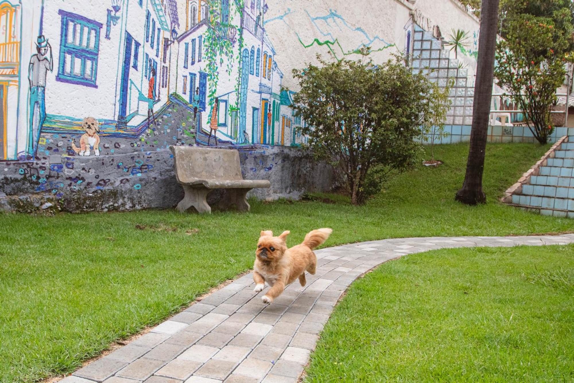 Woods Hostel ベロ・オリゾンテ エクステリア 写真